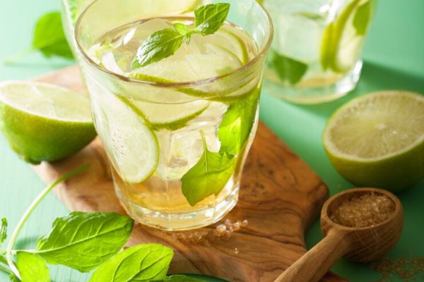 पुदीना क्या है? (What is Pudina?)