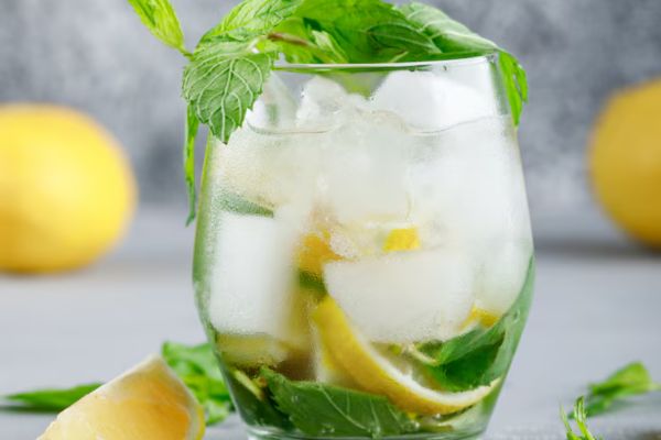 गर्मी में Pudina Pani क्यों पिएं?