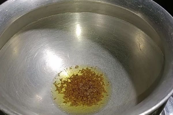 लौकी से बनने वाला टेस्टी खाना